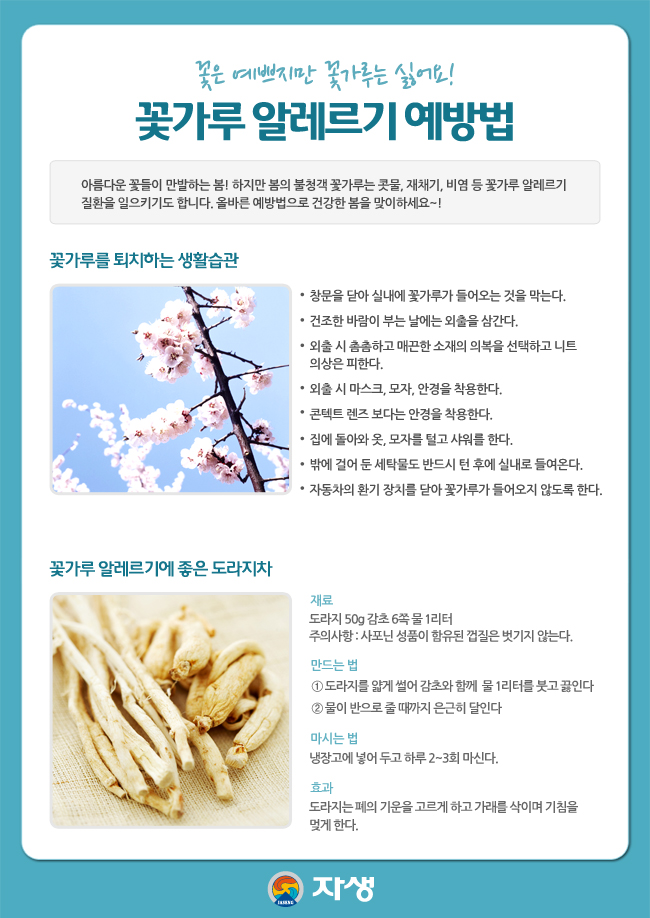 자생한방병원 건강정보 - 꽃가루 알레르기 예방법 및 알레르기에 좋은 도라지차에 대한 다음 설명을 참조하세요.