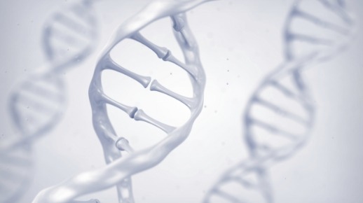 선천적 고관절 어긋남