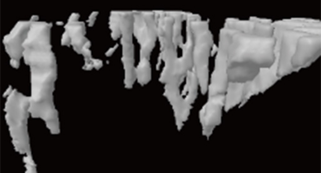 신바로한약 투여 쥐